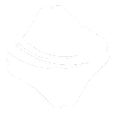 بهین پردازش رویان